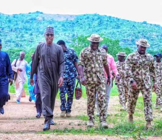Borno is in ‘catch-22 situation’ over Boko Haram’s surrender – Zulum