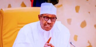 FG suspends planned subsidy removal indefinitely