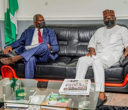 AbdulRazaq meets Works Minister over FG roads in Kwara