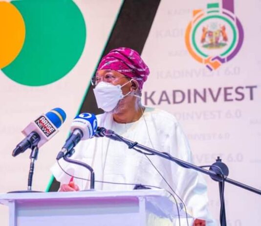 FG grants 12,000 expatriates quotas in 24 months