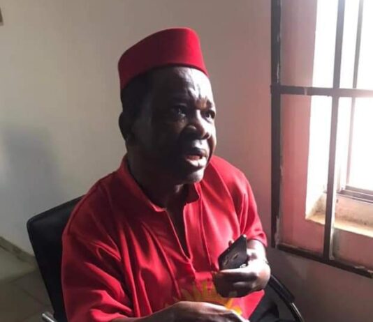 Troops arrest Chiwetalu Agu while soliciting support for proscribed IPOB