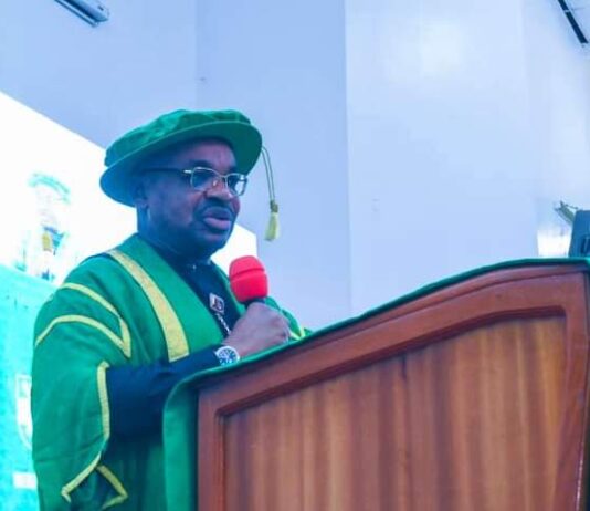 Changing the narrative of development through industrialization and infrastructure – Governor Udom Emmanuel