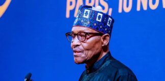 Nigeria is viable to attract and sustain FDI, says President Buhari to French investors