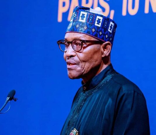 Nigeria is viable to attract and sustain FDI, says President Buhari to French investors