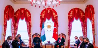 Nigeria, Turkey to strengthen security, defence ties