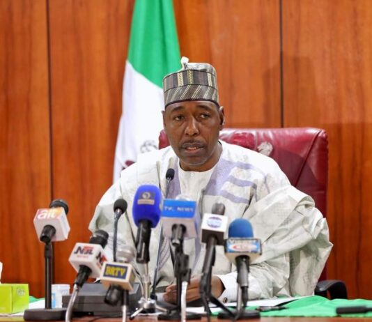 Zulum Inaugurates Borno’s Advisory Committee on Governance and Development