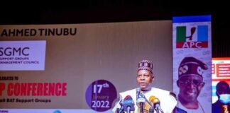 2023: No Better APC Presidential Aspirant Than Tinubu In The South – Shettima