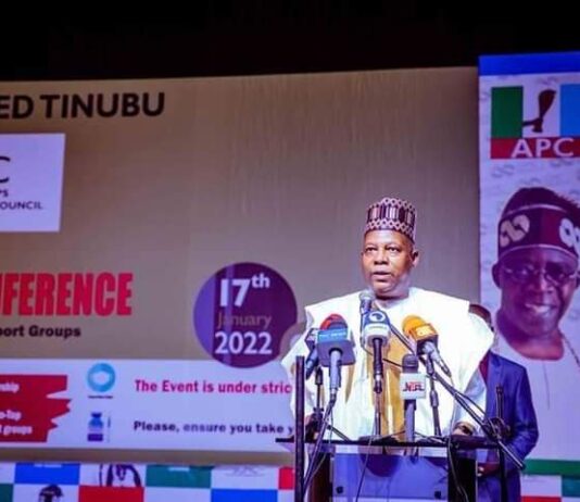 2023: No Better APC Presidential Aspirant Than Tinubu In The South – Shettima