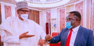 Rice revolution: Buhari honours Ayade, commends his contributions to rice farming