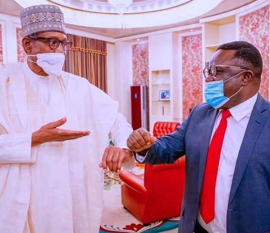 Rice revolution: Buhari honours Ayade, commends his contributions to rice farming