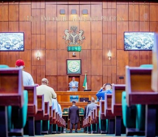 Electoral Act: House includes consensus option in bill