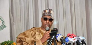 Zulum to Stakeholders: Let’s Make Northeast’s Master Plan Ambitious, Achievable