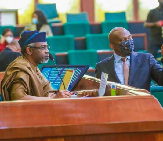 Reps condemn resurgence of coups in W’Africa, warn against consequences on democratic values