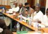 Constitution Review Report Ready End Of February – Omo-Agege