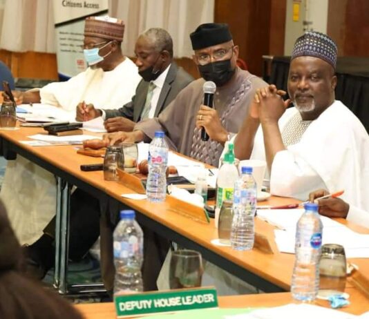 Constitution Review Report Ready End Of February – Omo-Agege