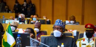Nigeria re-elected into the African Union peace, security council