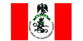 NDLEA raids Lagos Island drug den, arrests kingpin, 6 others
