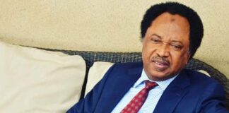 Alleged $25,000 Bribe: ASD Motors’ MD Testifies Against Shehu Sani