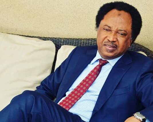 Alleged $25,000 Bribe: ASD Motors’ MD Testifies Against Shehu Sani
