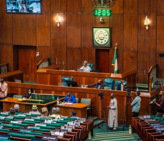 Killings: House worries over safety of citizens, urges FG to implement report on security summit