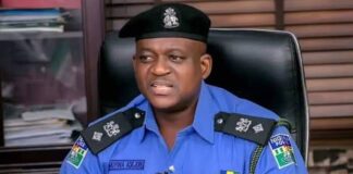 IGP Confirms CSP Olumuyiwa Adejobi 25th Indigenous Force PRO