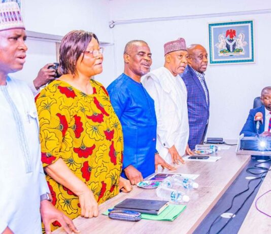 Minister inaugurates panel of inquiry on Abuja stadium vandalism