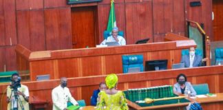 Insecurity: Reps lament again, seek involvement of mercenaries in anti-terror war