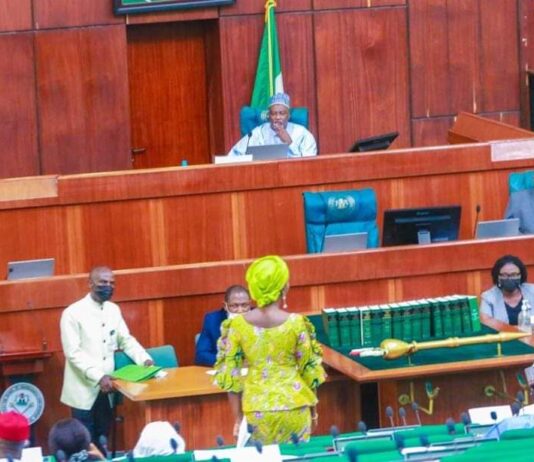 Insecurity: Reps lament again, seek involvement of mercenaries in anti-terror war