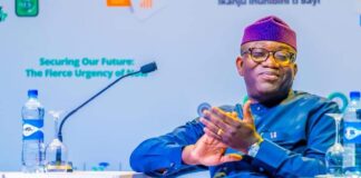 No Cause For Alarm Over Consensus APC Presidential Candidate – Fayemi