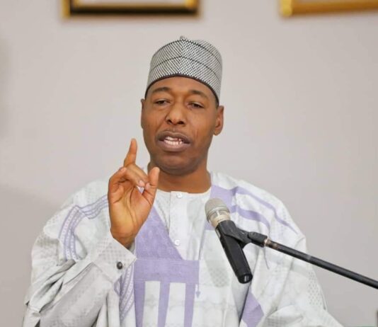 With Shettima, Tinubu has made the wisest choice – Zulum