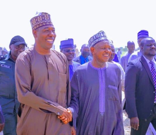 Damasak: Bagudu, Zulum tour Borno’s 3,000-hectare rice farm