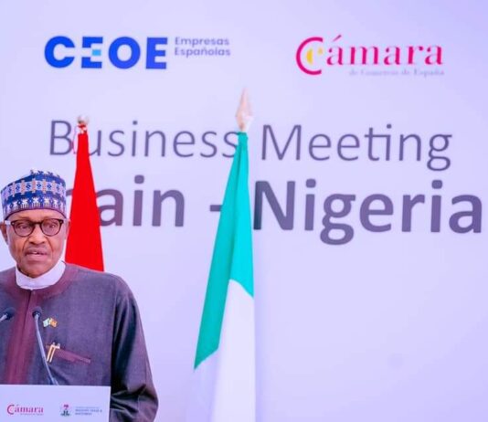 Look beyond current global challenges for opportunities in Africa, President Buhari tells investors