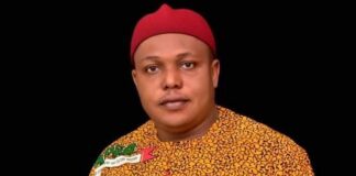 Ezenwafor Emerges Presidential Candidate For Labour Party