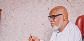 Insecurity: We need international support to fight terrorism – Gov Akeredolu