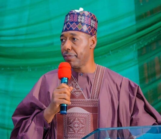 Six Profs now in Zulum’s admin as Borno deploys 19 Commissioners