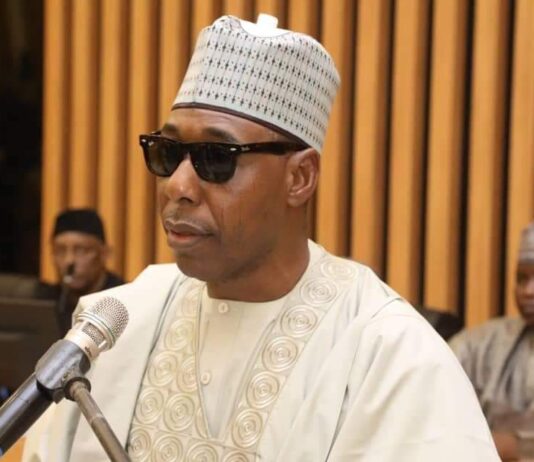 Scholarship: Zulum releases N5m on 13-year boy who copy-designed Borno flyover