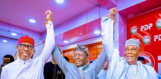 Iyorchia Ayu Remains PDP National Chairman – Party