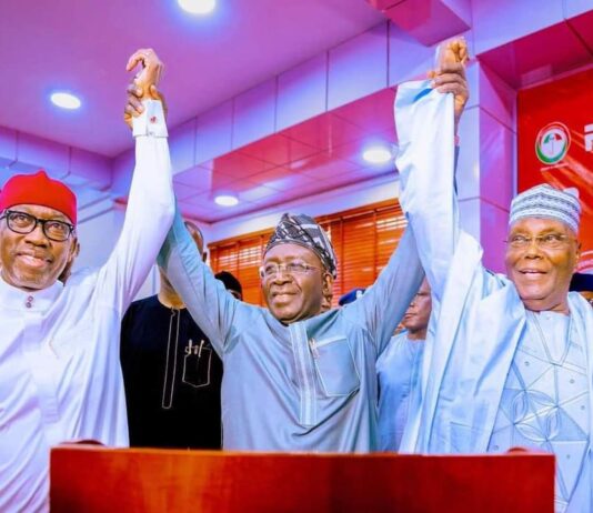 Iyorchia Ayu Remains PDP National Chairman – Party