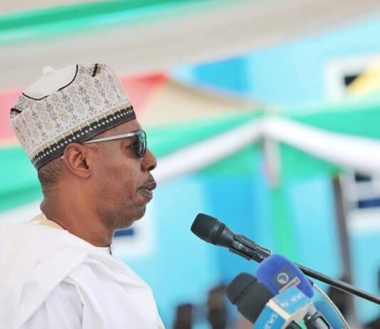 Wulari: Zulum unveils road, 30-bed health centre