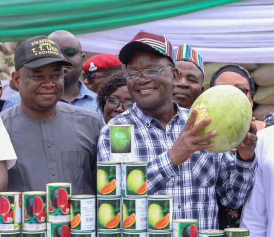 Ortom flag-off distribution of improved seeds to LGs
