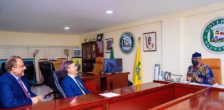 Gov Abiodun reassures foreign investors in Ogun