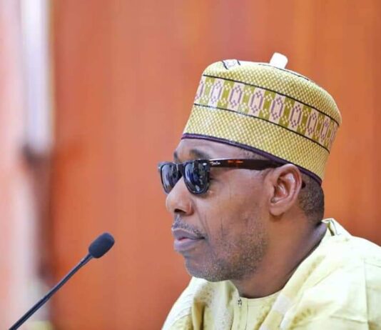 Borno Governor appoints Mshelia, Kyari as new heads for REB, Healthcare Agency