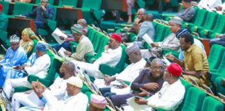 Malaria: Reps worry over Nigeria’s losses, call for reawakening