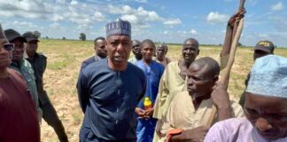 Zulum visits 10 farms in four LGs, asks farmers problems