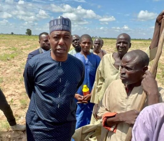 Zulum visits 10 farms in four LGs, asks farmers problems