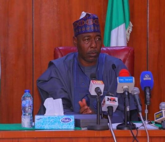 Scandalous salaries: Zulum confirmed some LEA teachers get less than N11,000