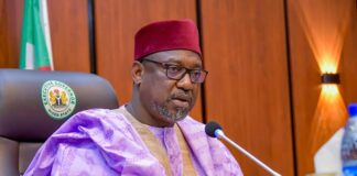 Niger state governor to invest more on skills for women, youths
