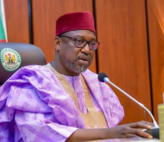 Niger state governor to invest more on skills for women, youths