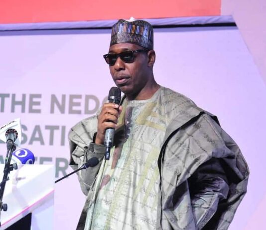 Zulum to NEDC: Let’s move from short-term interventions to long-term projects