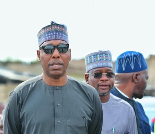 Flooding: Zulum assigns Deputy Governor to assess communities, support victims